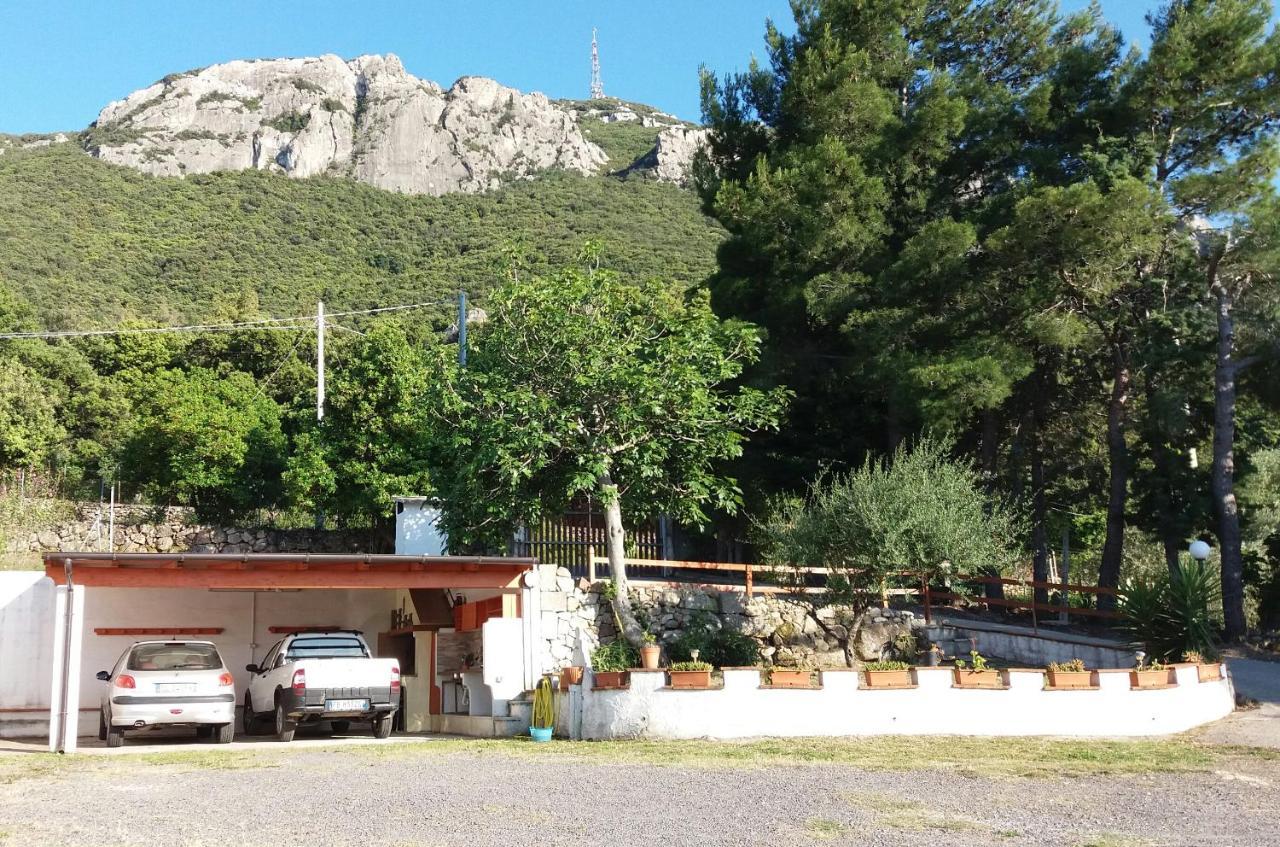 Casa Marcella Διαμέρισμα Dorgali Εξωτερικό φωτογραφία