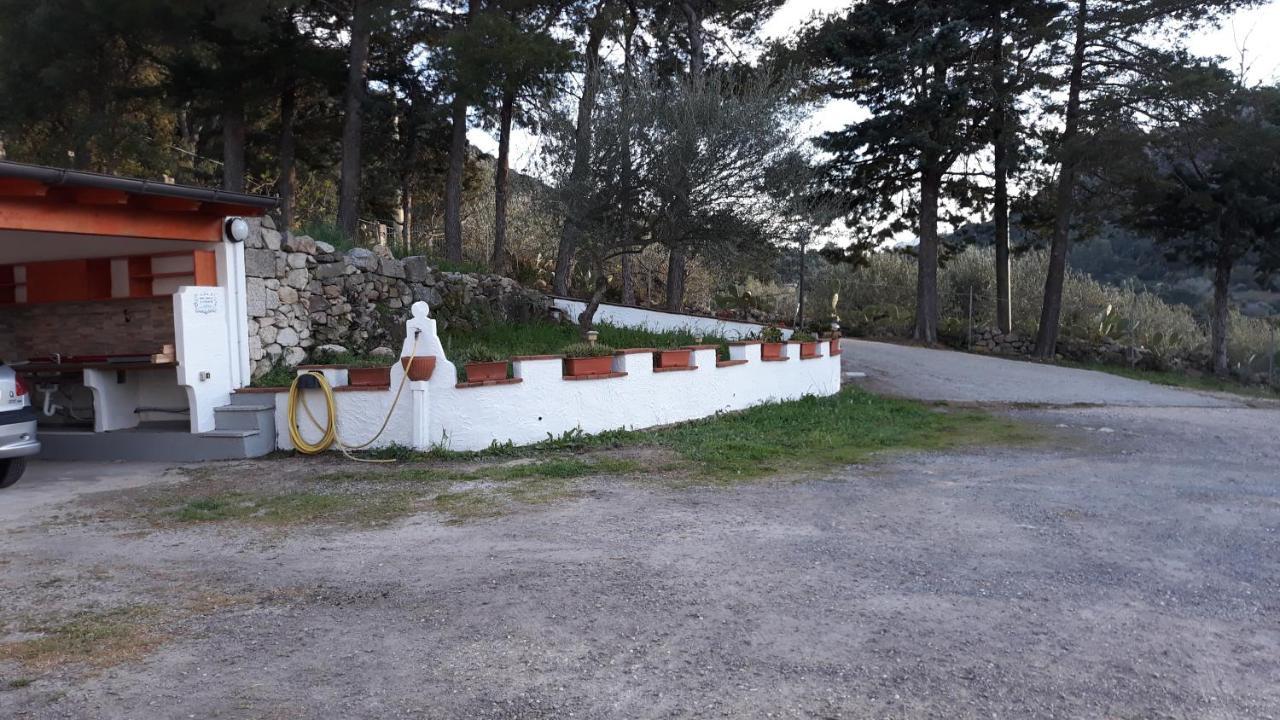 Casa Marcella Διαμέρισμα Dorgali Εξωτερικό φωτογραφία