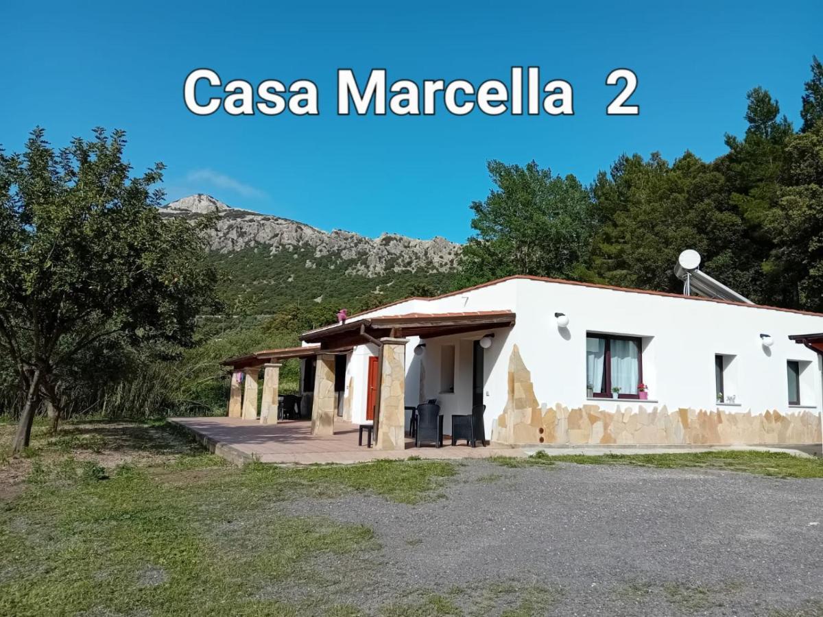 Casa Marcella Διαμέρισμα Dorgali Εξωτερικό φωτογραφία